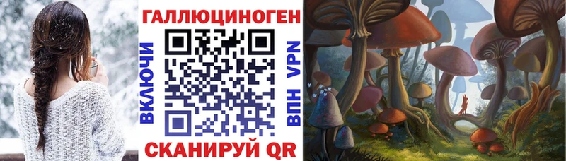 Галлюциногенные грибы мухоморы  дарк нет как зайти  Дюртюли 